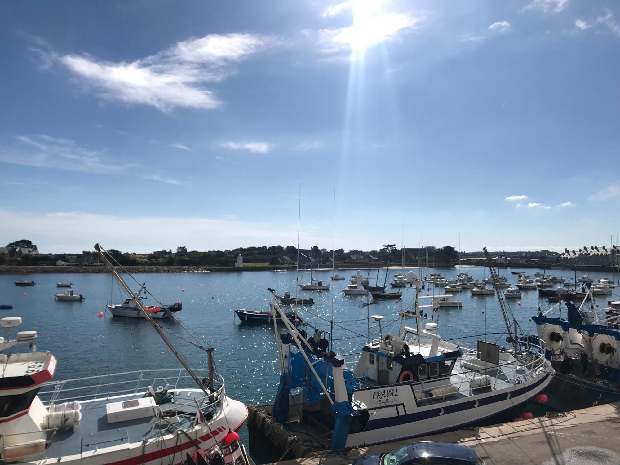 Les Transats Chambre Et Appartements Face A La Mer Barfleur Exterior foto